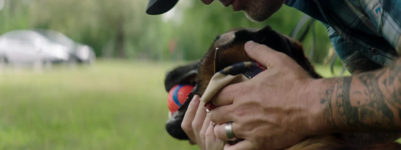 A man playing with a dog with a ball in his mouth