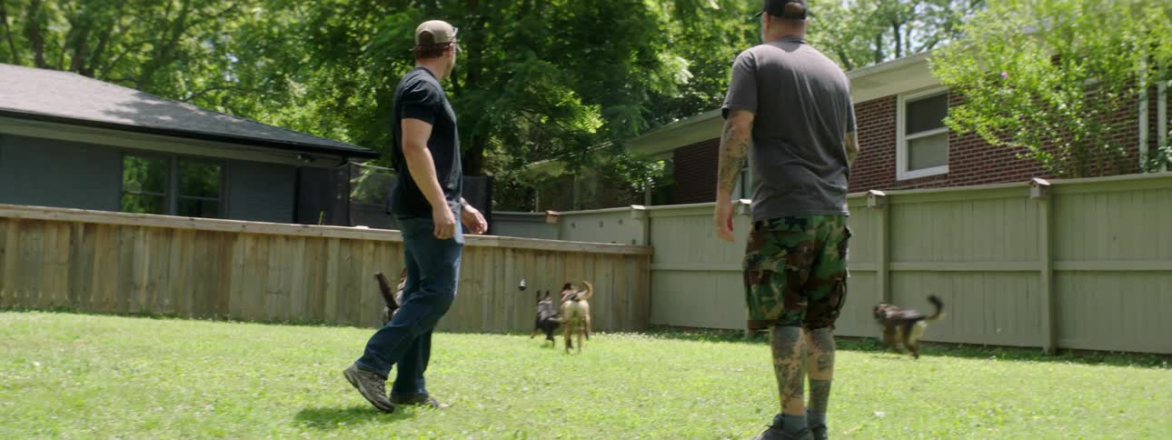 Two men play fetch with their dogs in the yard