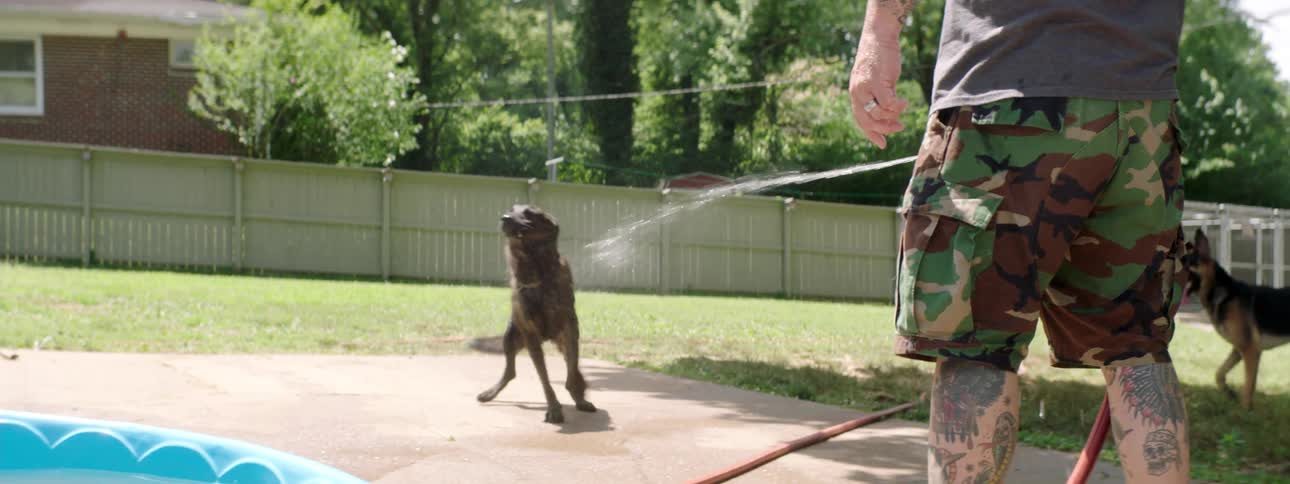 A man uses a hose to shoot water at a dog in a back yard