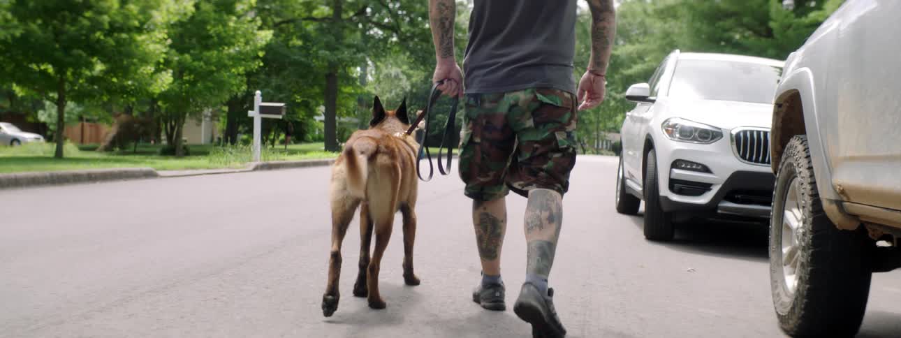 A tattooed man walks a dog down a street in a neighborhood