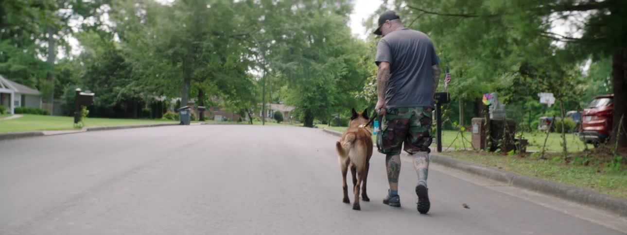 A man is walking his dog down the road