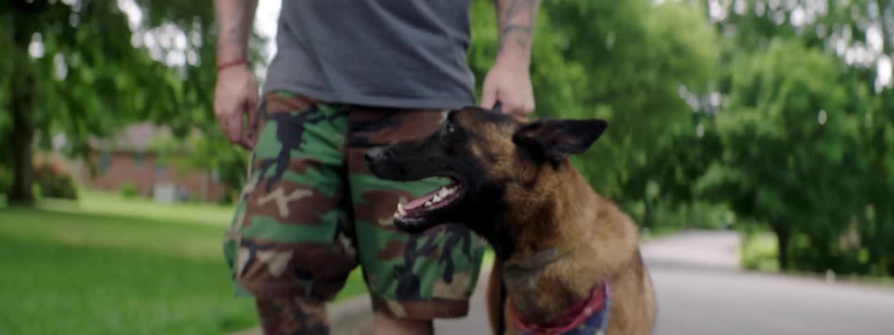 A tattooed man walks a dog down a road through a neighborhood during the day