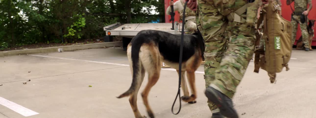 A soldier leads a dog over to a group of armed soldiers standing near a shipping container