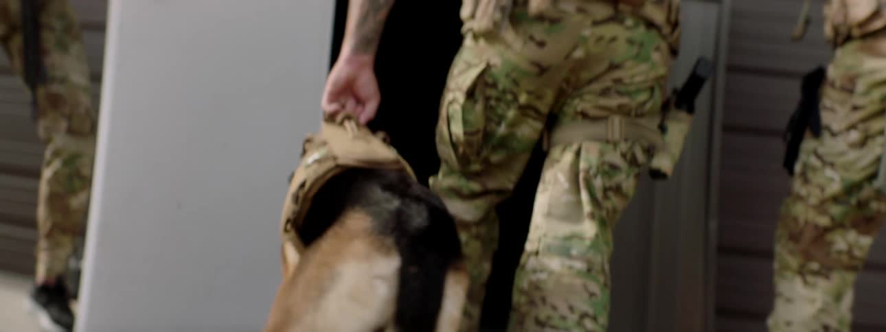 A soldier leads a dog into a dark building as two other soldier wait near the door with their firearms ready