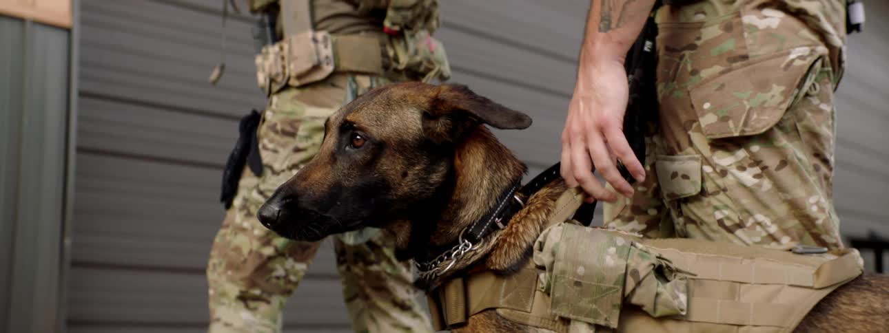 Two soldiers stand outside a house one holding a dog