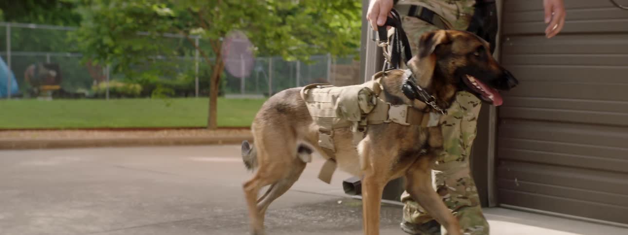 Soldiers walk a dog over to the garage