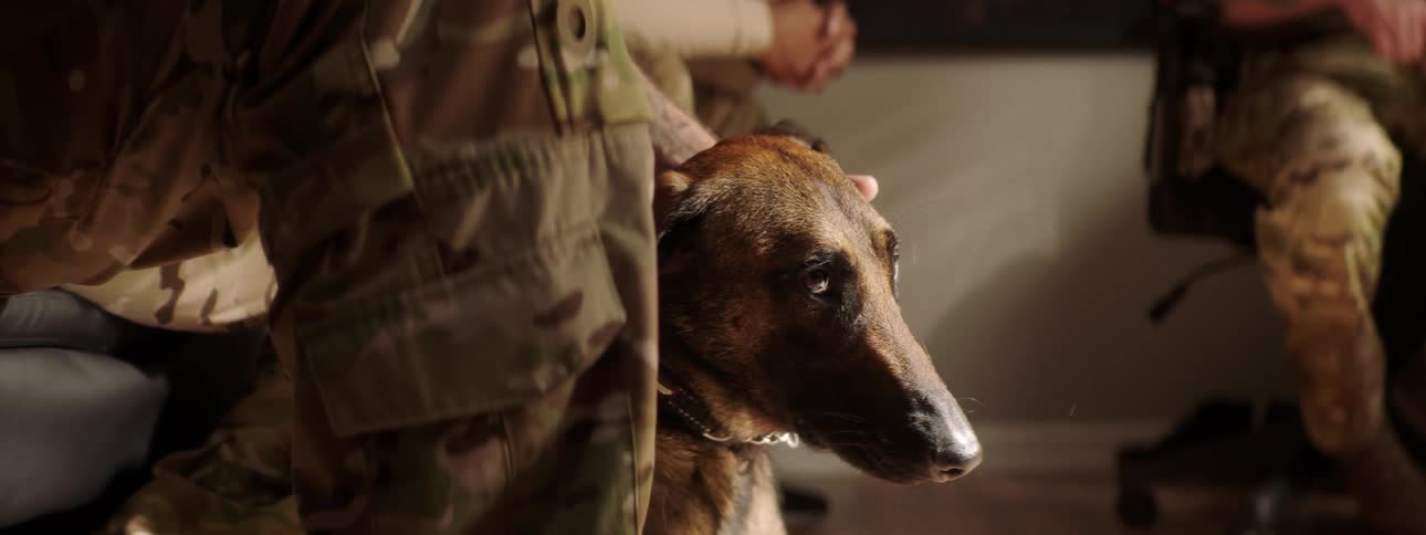 Tattooed man wearing military clothes pets a dog in the head while sitting in a room
