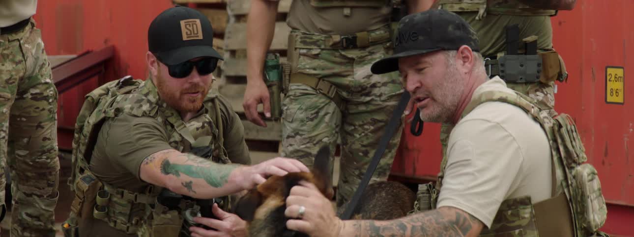 Military people are petting a couple of dogs together