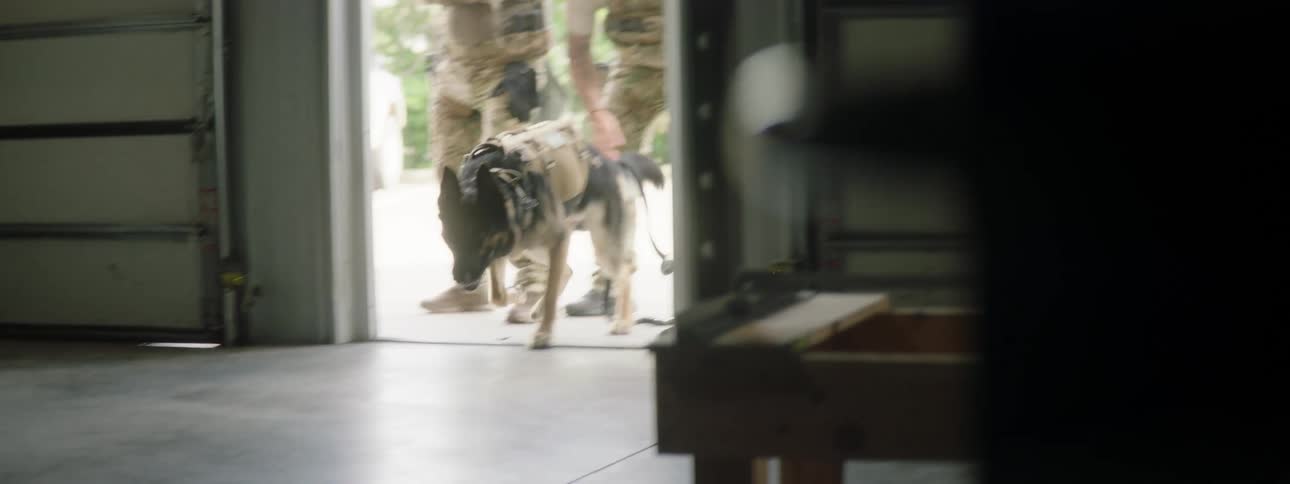 Two uniformed military men show a uniformed dog inside a building