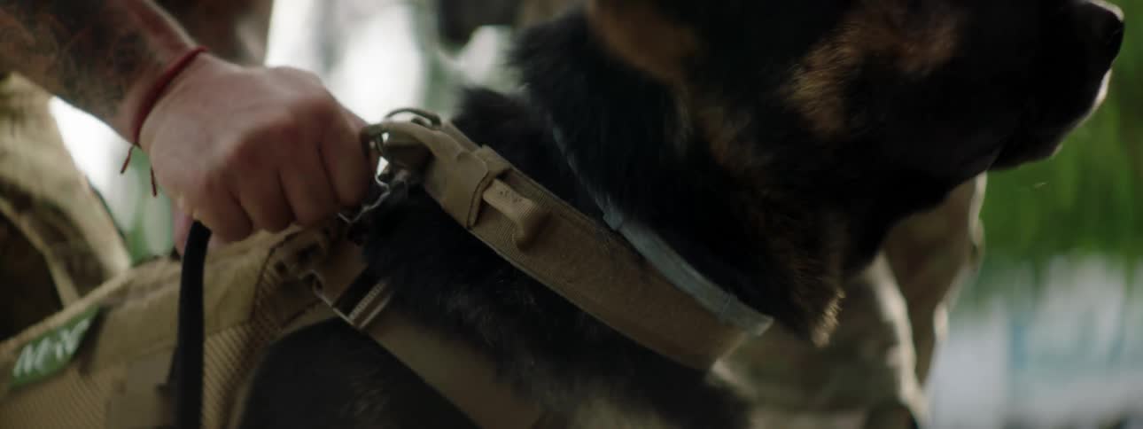 Men with military uniforms and guns releasing a dog and entering into a building