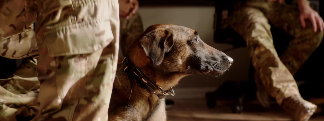 Soldiers sit down with their dog