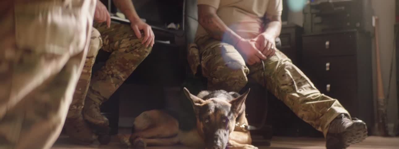 Three men sitting in a home with two dogs