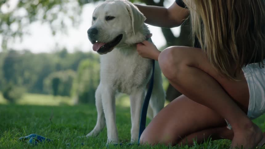 Blonde woman with long hair and shorts pets a white dog on green grass in park