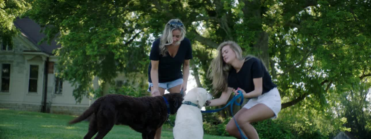 Two blonde women play with a black dog and a white dog on the grass