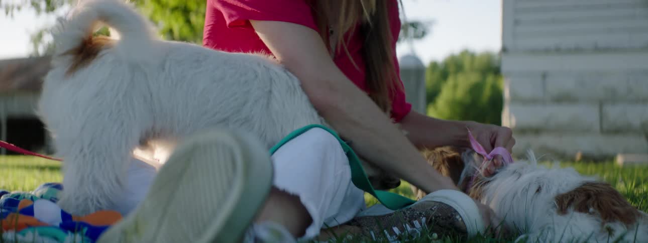 Women sitting outdoors with jack russell terrier dogs