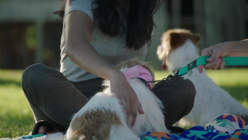 A woman sits on a blanket in a yard and plays with two dogs