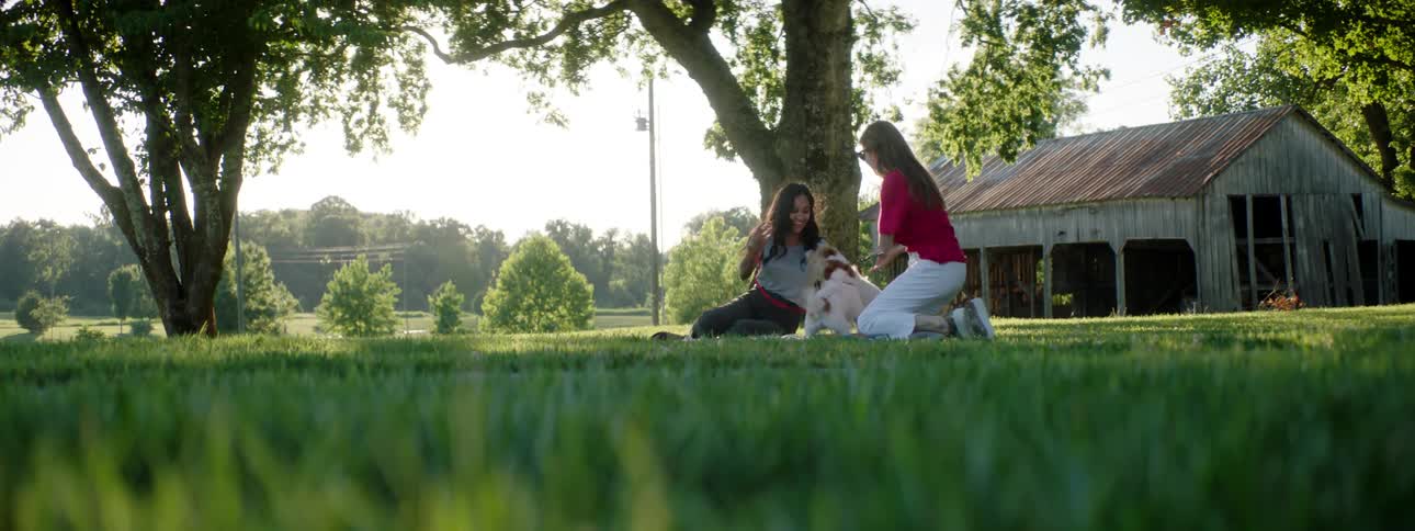 Two women with dogs on leashes sit near tree in yard near building
