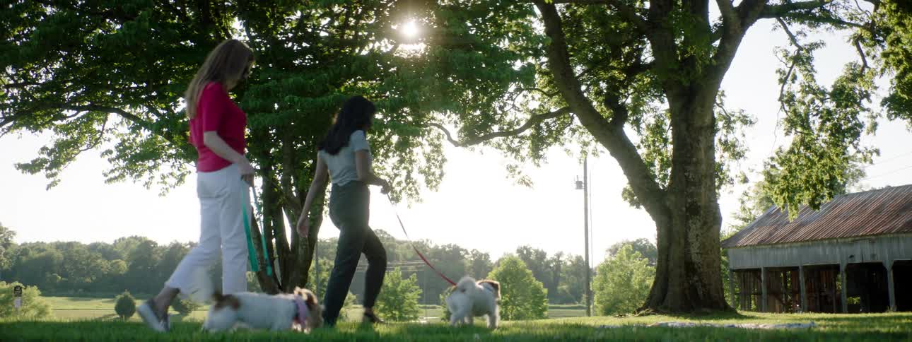 Two women walk their dogs in a rural area