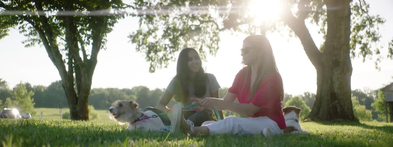 Two women sit on the grass in an open park area with their dogs on leashes