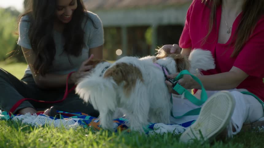 Two women are sitting on a field petting their dogs