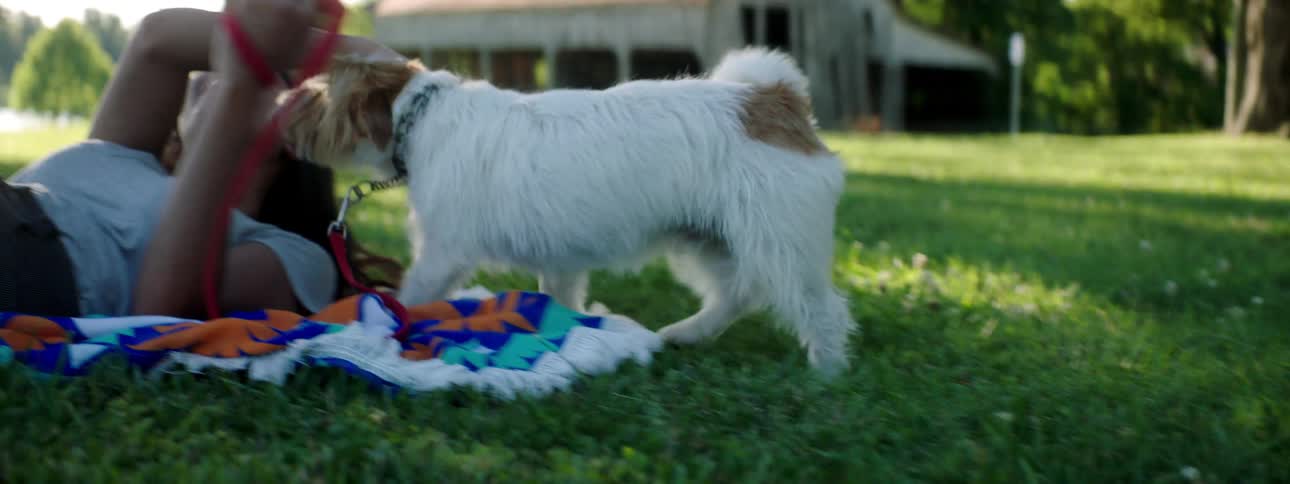 A teenage girl lies on a blanket in a yard and pets her dog
