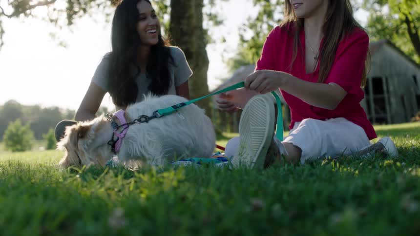 Two females sit in a grassy yard with a dog on a leash