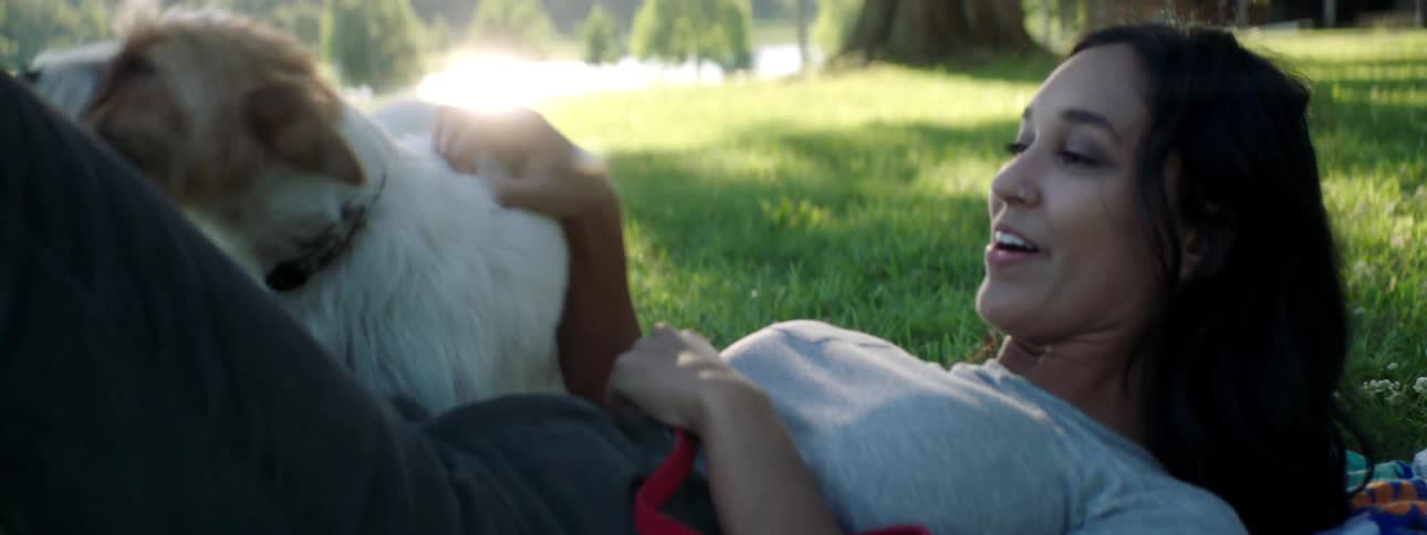 A woman is playing with her dog while laying on a blanket in a public park during the day