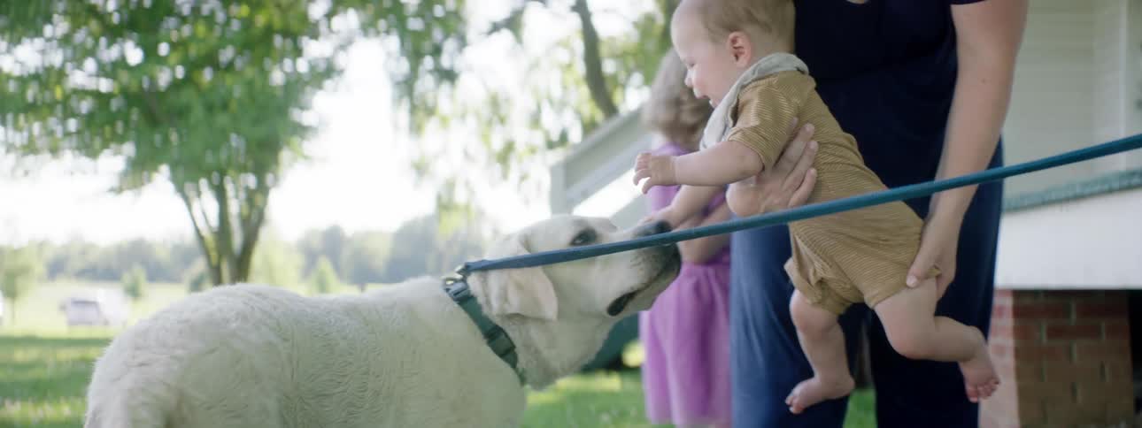 A woman holding a baby next to a dog with a leash with a girl walking around her