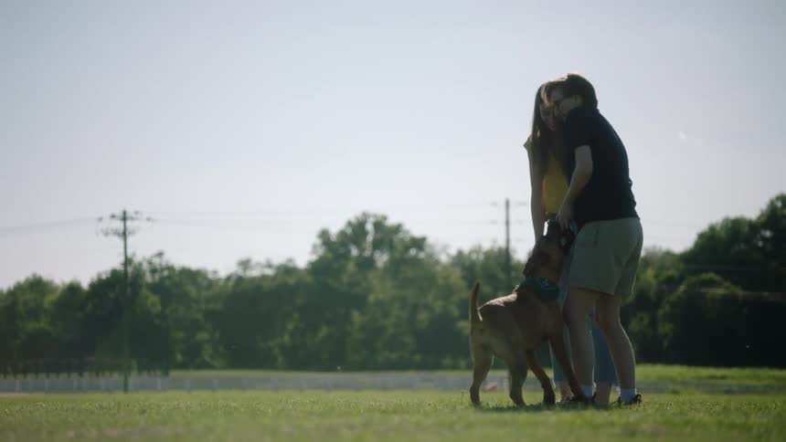A man and woman play fetch with a dog