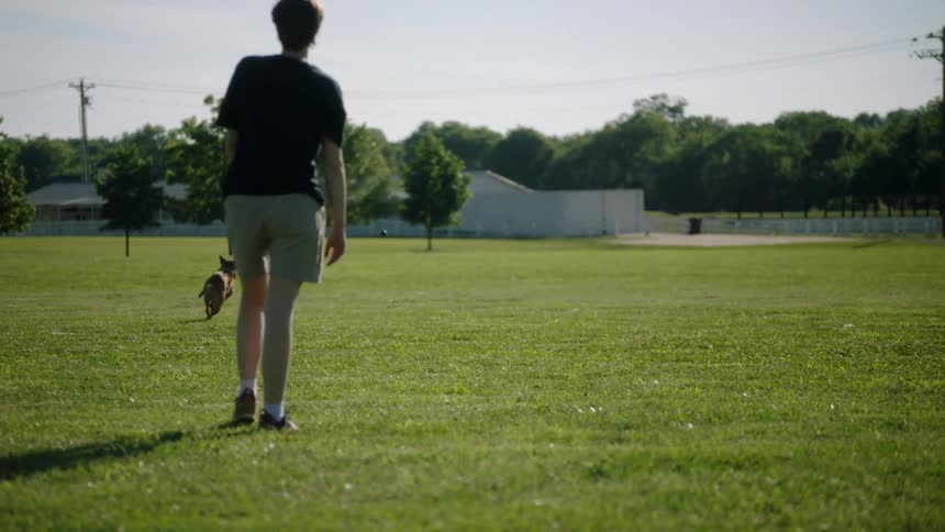 A person throws a ball far across a field causing a dog to chase after it