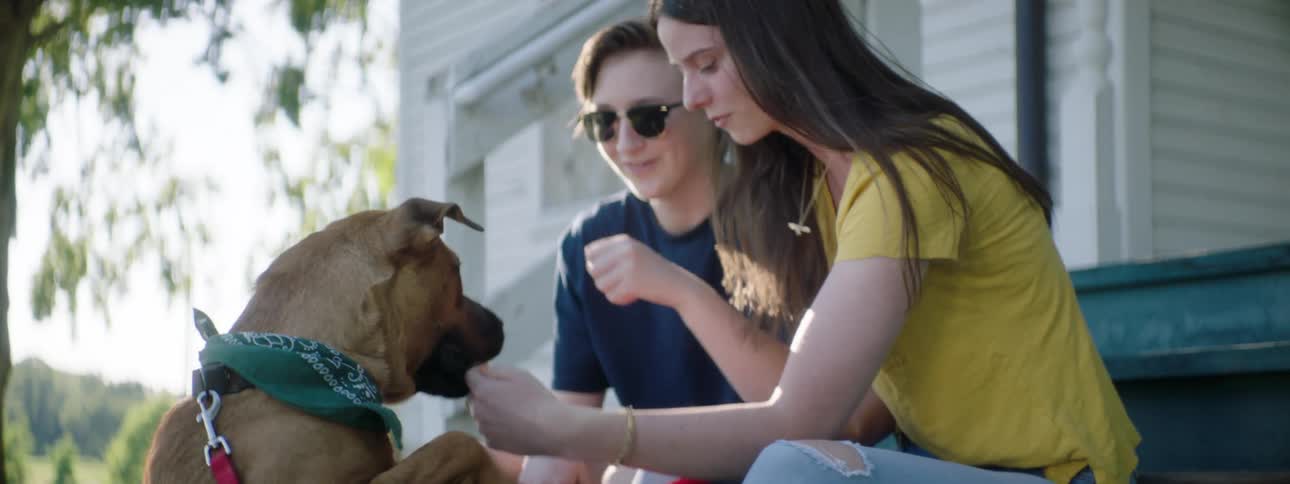 Two women sit on a porch and pet a dog and get him to do tricks and give him treats