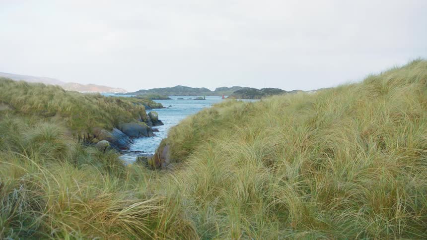 Landscape view of a river and grass on the shore