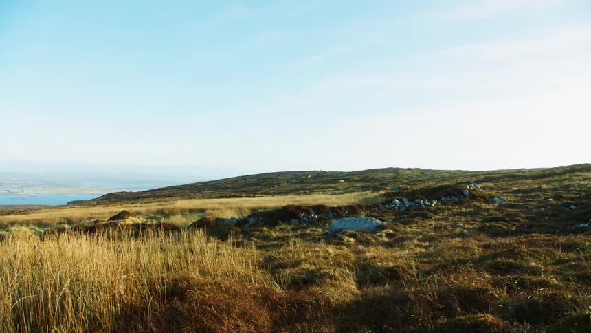 A rural grassy hill in the daytime