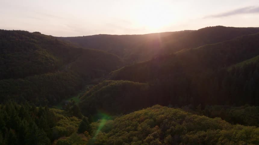 The sun setting over tree covered mountains