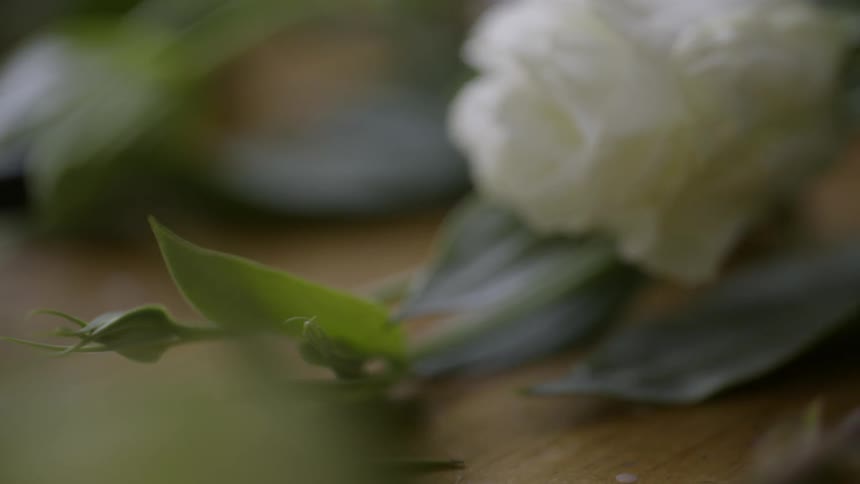 Close up of a flower being lifted from a table