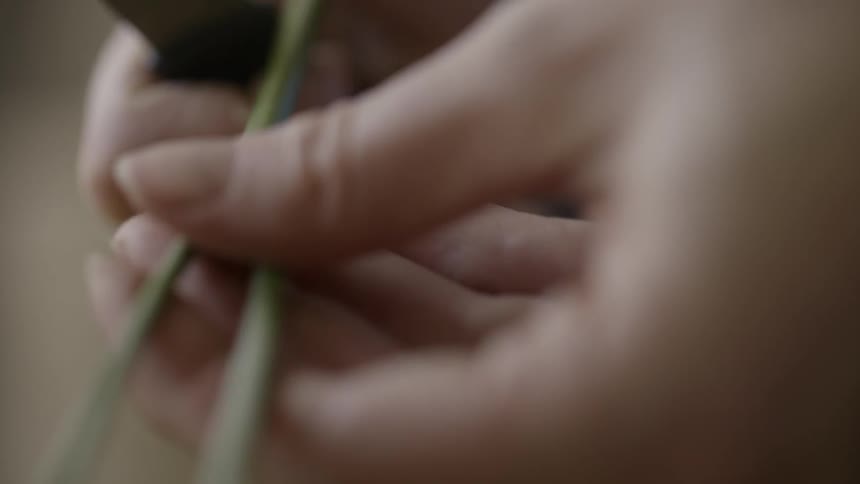A woman trimming a plants stem