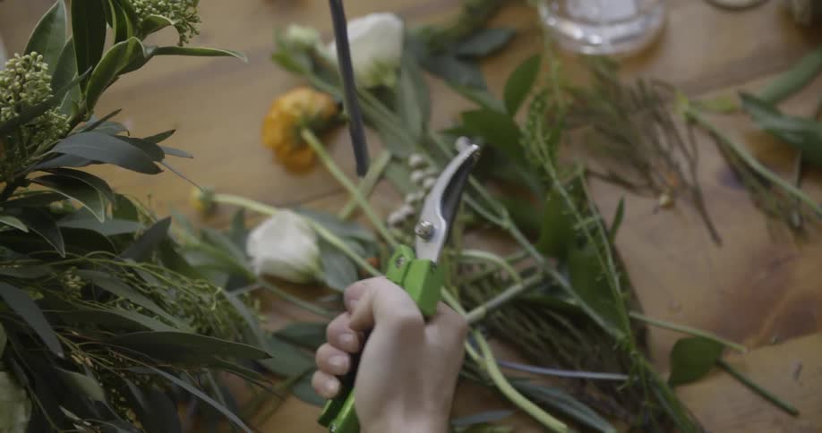 A person snips a piece of stem from a flower