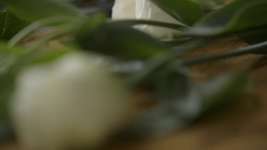 Close up of white flowers on a table