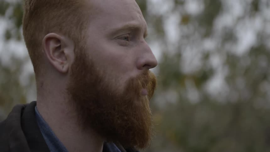 A bearded man gazing into the distance