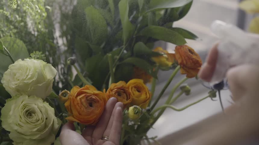 A woman's hand cups an orange flower as she sprays it with water