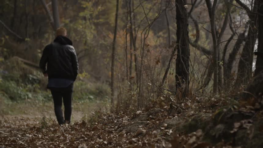 A man is hiking in the woods