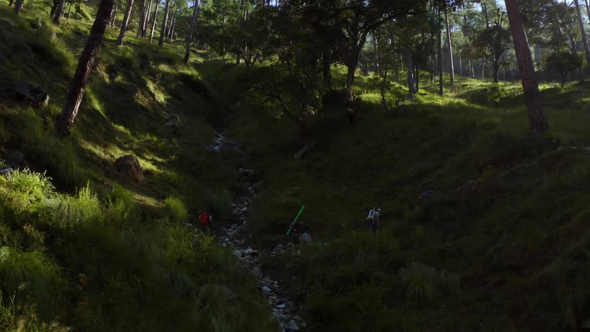 A group of people hike through a forest and across a river