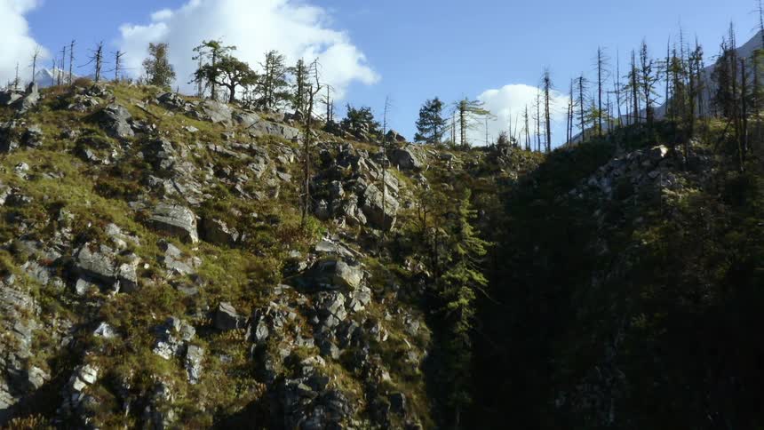An aerial view of trees on a mountain slope in the wilderness