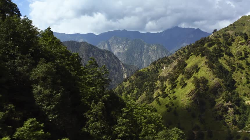 Trees are covering the mountains in spring