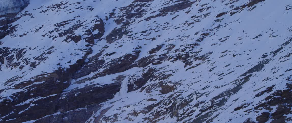 Snow is covering the arctic area