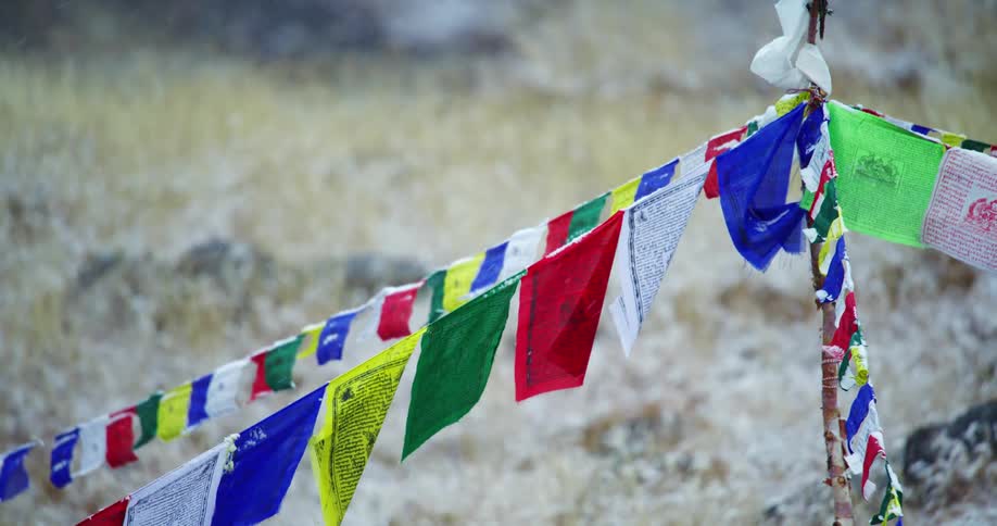 Several strings are tied to a stick and have a number of small colorful flags hanging from them