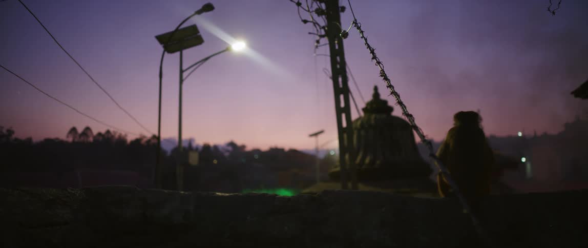 A monkey sitting atop a wall in a small town under the streetlight at sunset