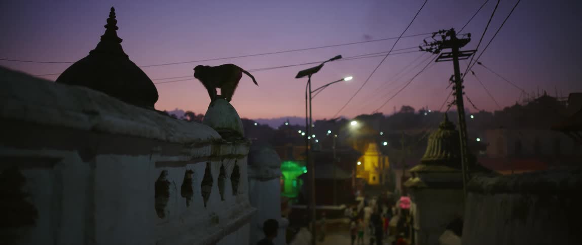A monkey sits on top of a building in a city as two people walk by