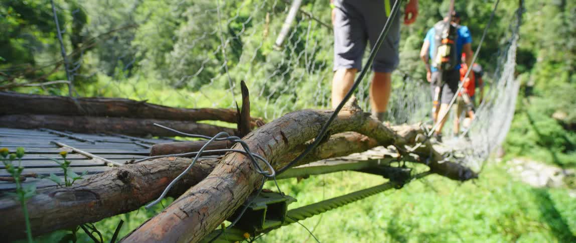 A group of hikers cross a suspension bridge in a forest on a sunny day