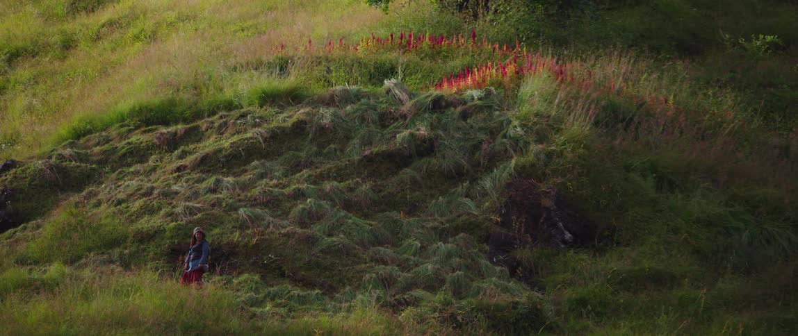 A woman standing in a grassy field
